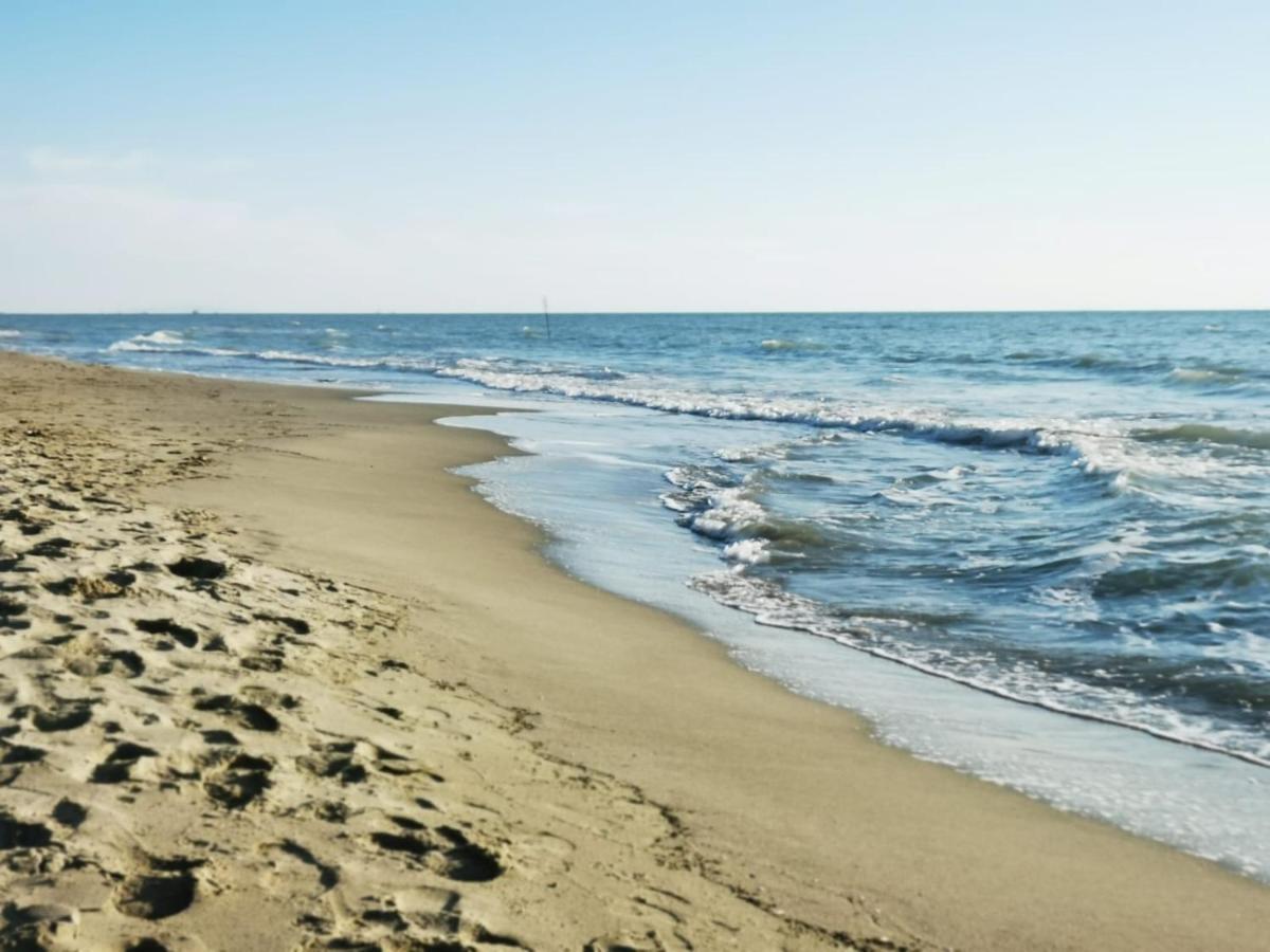 Appartamento In Villa A Tirrenia, Eleganza E Comfort A Pochi Passi Dal Mare Piza Zewnętrze zdjęcie